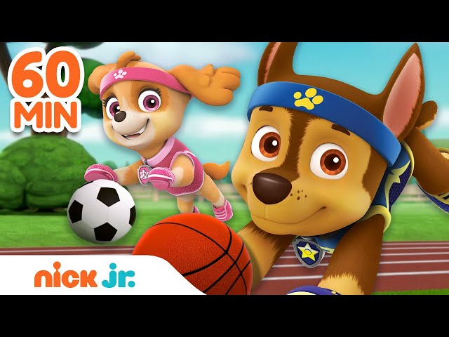 bekijk de spannende basketbalwedstrijd van paw patrol en geniet van actievolle avonturen met je favoriete helden!