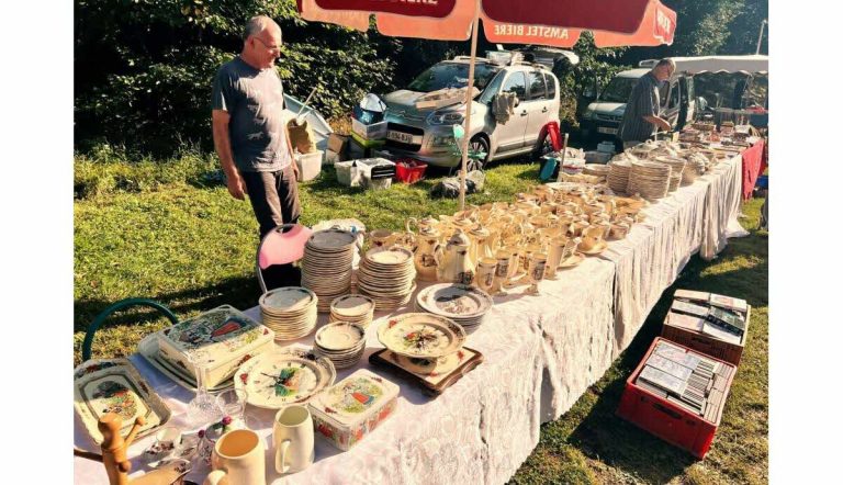 ontdek het succes van cate, lardenne en pibrac in de schaakcompetities van occitanie. lees meer over hun prestaties en toewijding in deze regionale kampioenschappen.
